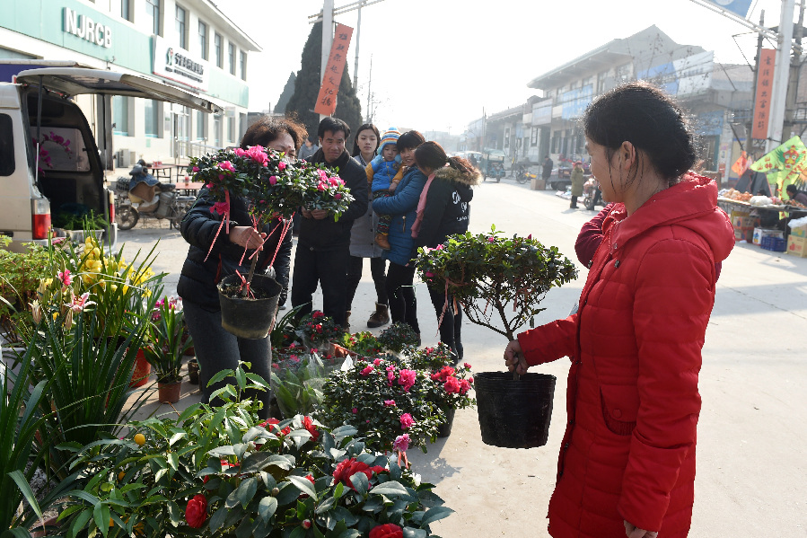 河北农村春节集市鲜花俏（组图）