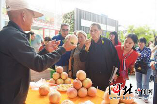 京西百渡秀亮点