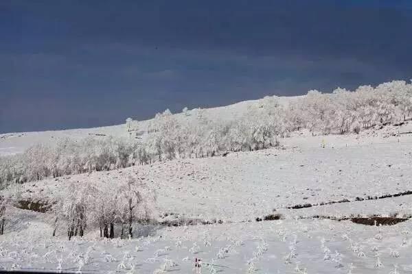 美如仙境！一大波草原天路雪景图刷爆朋友圈