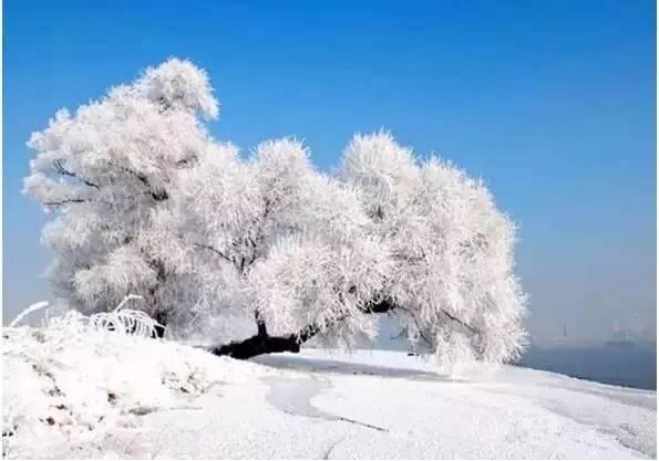 美如仙境！一大波草原天路雪景图刷爆朋友圈