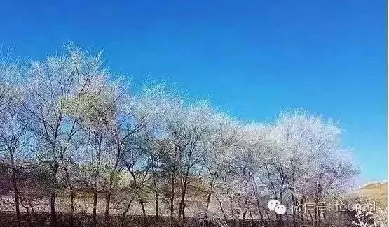 美如仙境！一大波草原天路雪景图刷爆朋友圈