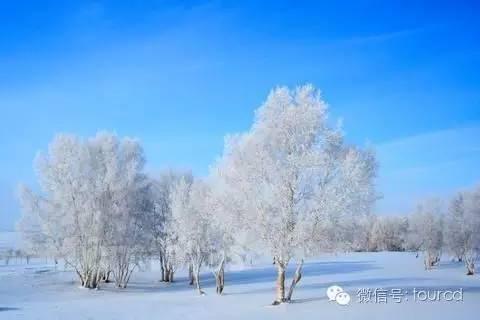 美如仙境！一大波草原天路雪景图刷爆朋友圈