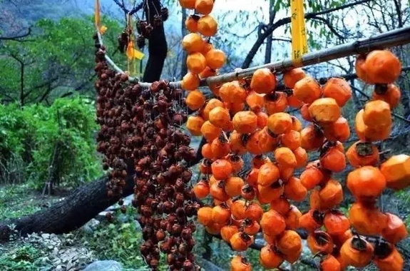 有一种最美叫晒秋：河北小山村照片刷爆朋友圈