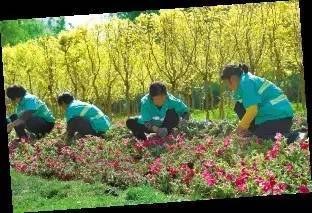 一路走来一路花开！国际庄的秋天满眼诗意步步景