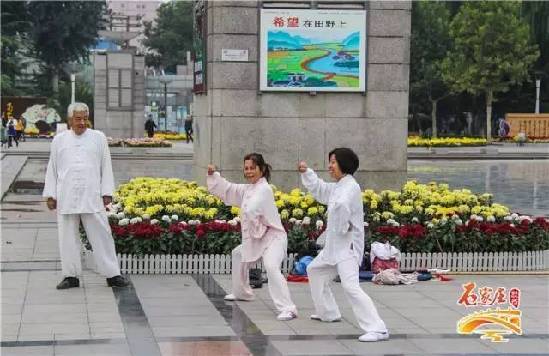 一路走来一路花开！国际庄的秋天满眼诗意步步景