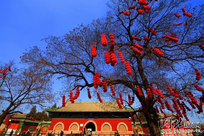 “最炫中国节”中国好网民网络文化作品征集活动优秀作品展示