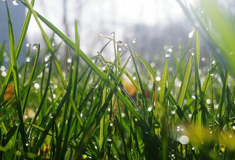 二十四节气申遗成功 知道这些节气在古人的笔下有多美吗?