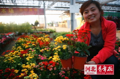 交两节废电池 送您一盆鲜花 